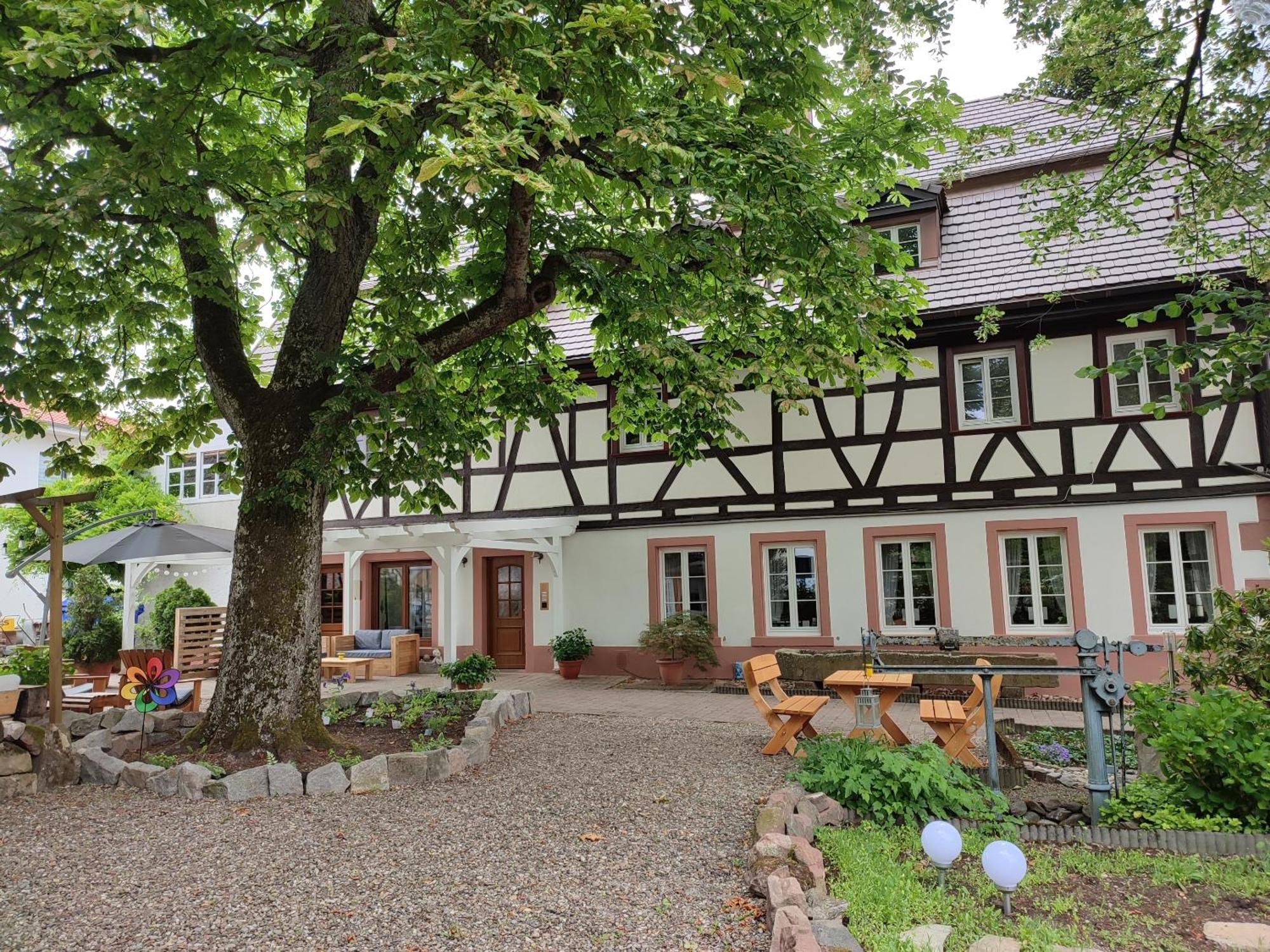 Boutique-Hotel Krone Denzlingen Eksteriør bilde